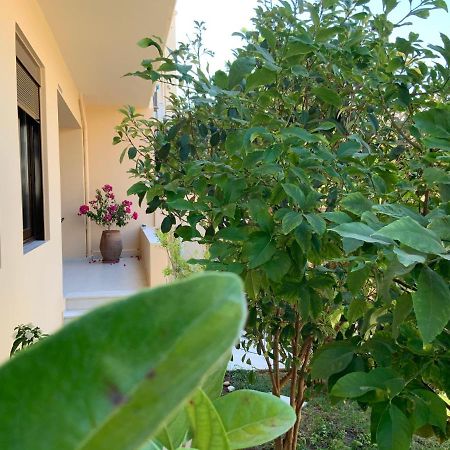 Antonis Chania City Family House Екстериор снимка
